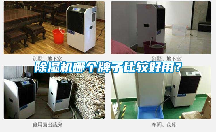 除濕機哪個牌子比較好用?