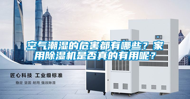 空氣潮濕的危害都有哪些?家用除濕機是否真的有用呢?