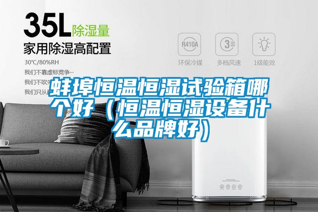 蚌埠恒溫恒濕試驗箱哪個好(恒溫恒濕設備什么品牌好)
