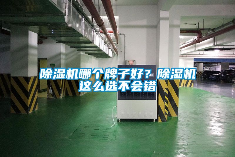 除濕機哪個牌子好？除濕機這么選不會錯