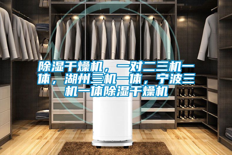 除濕干燥機，一對二三機一體，湖州三機一體，寧波三機一體除濕干燥機