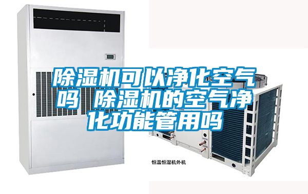 除濕機可以凈化空氣嗎 除濕機的空氣凈化功能管用嗎