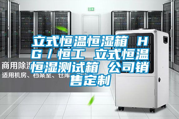 立式恒溫恒濕箱 HG/恒工 立式恒溫恒濕測(cè)試箱 公司銷售定制