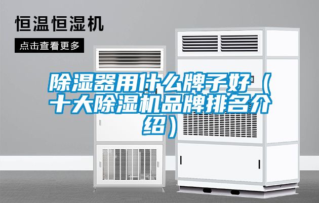 除濕器用什么牌子好(十大除濕機品牌排名介紹)