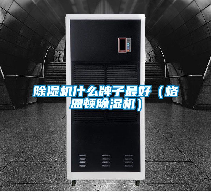 除濕機什么牌子最好(格恩頓除濕機)