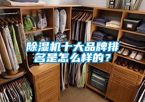 除濕機十大品牌排名是怎么樣的?