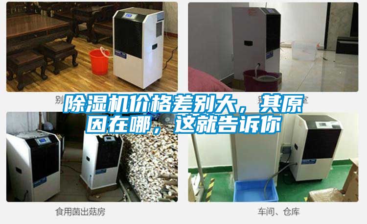 除濕機價格差別大,其原因在哪,這就告訴你