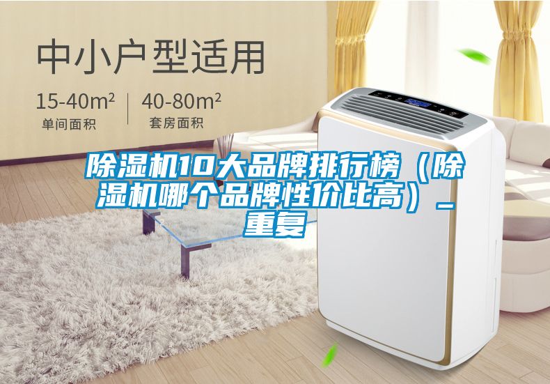 除濕機10大品牌排行榜(除濕機哪個品牌性價比高)_重復