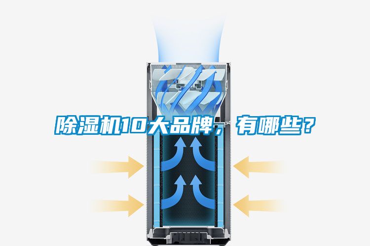 除濕機(jī)10大品牌,有哪些?