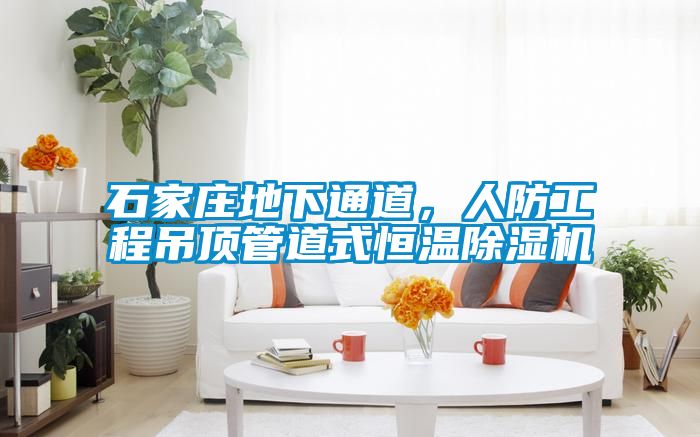 石家莊地下通道,人防工程吊頂管道式恒溫除濕機(jī)