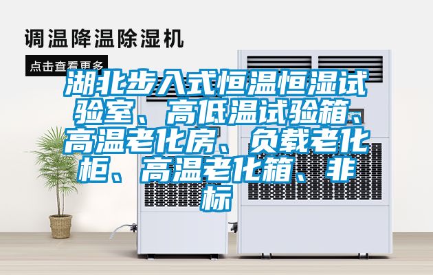 湖北步入式恒溫恒濕試驗室、高低溫試驗箱、高溫老化房、負載老化柜、高溫老化箱、非標