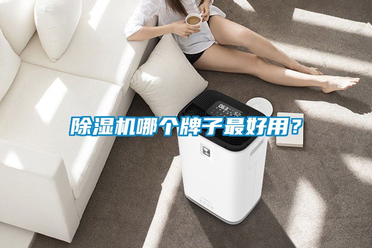 除濕機哪個牌子最好用?