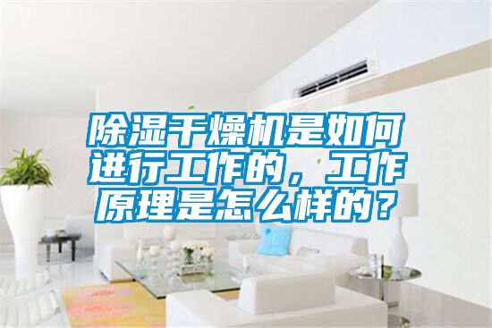 除濕干燥機是如何進行工作的,工作原理是怎么樣的?