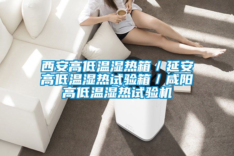 西安高低溫濕熱箱/延安高低溫濕熱試驗箱/咸陽高低溫濕熱試驗機