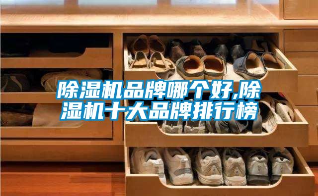 除濕機品牌哪個好,除濕機十大品牌排行榜