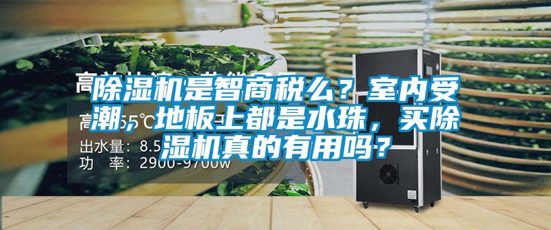 除濕機是智商稅么？室內受潮，地板上都是水珠，買除濕機真的有用嗎？
