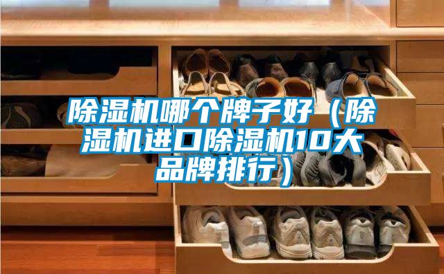 除濕機哪個牌子好(除濕機進口除濕機10大品牌排行)