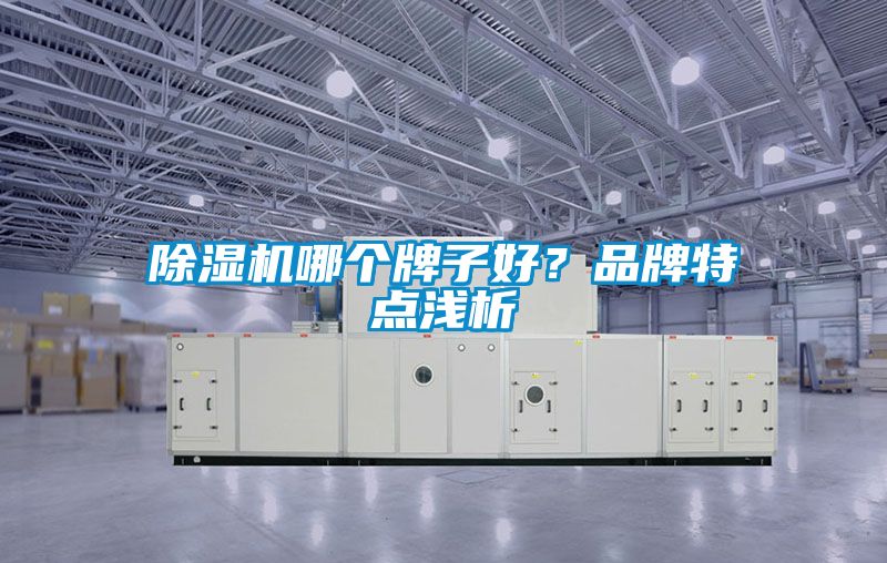 除濕機哪個牌子好?品牌特點淺析
