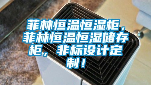 菲林恒溫恒濕柜，菲林恒溫恒濕儲存柜，非標設計定制！