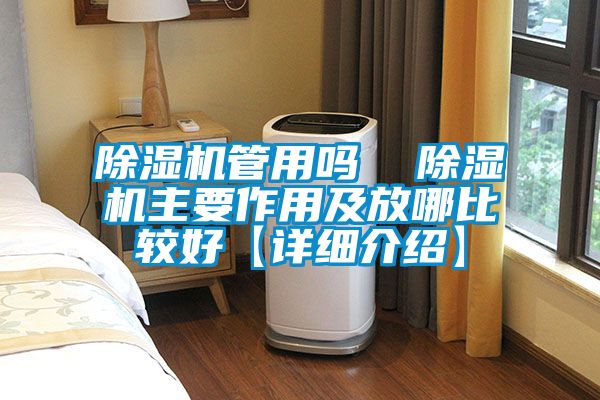 除濕機管用嗎 除濕機主要作用及放哪比較好【詳細介紹】