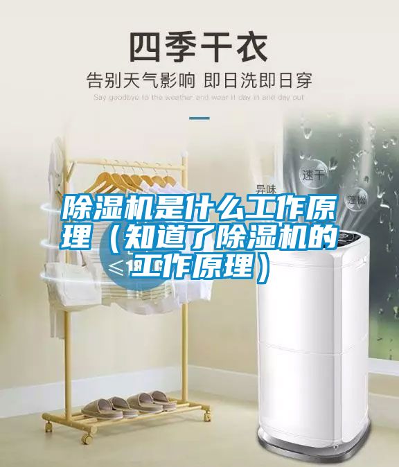 除濕機是什么工作原理(知道了除濕機的工作原理)