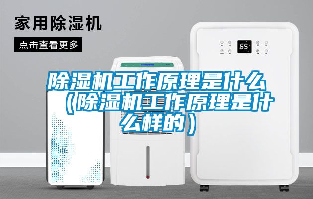 除濕機工作原理是什么(除濕機工作原理是什么樣的)