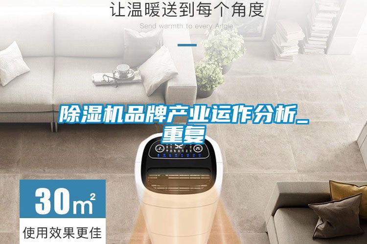 除濕機品牌產業運作分析_重復