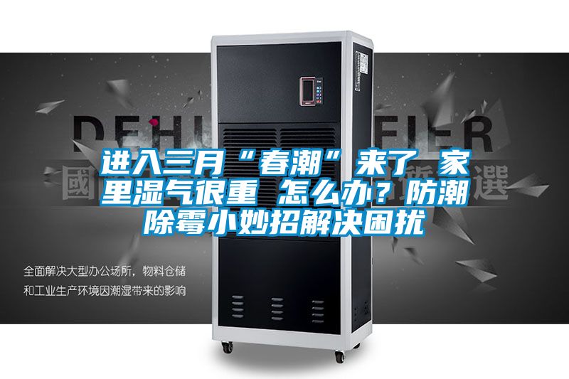 進(jìn)入三月“春潮”來了 家里濕氣很重 怎么辦?防潮除霉小妙招解決困擾
