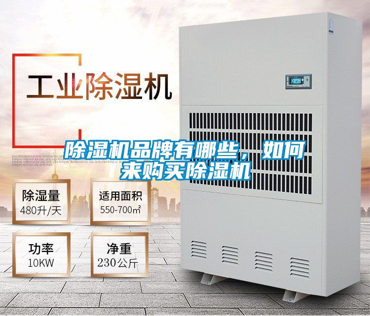 除濕機品牌有哪些，如何來購買除濕機