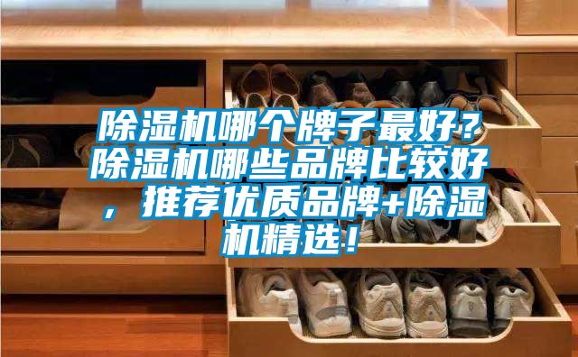 除濕機哪個牌子最好?除濕機哪些品牌比較好,推薦優質品牌+除濕機精選!