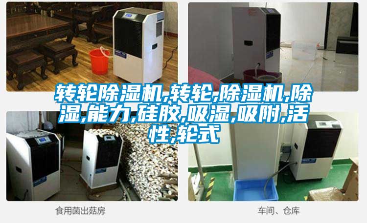 轉輪除濕機,轉輪,除濕機,除濕,能力,硅膠,吸濕,吸附,活性,輪式