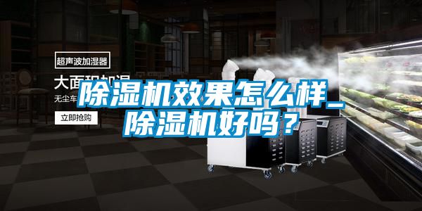 除濕機效果怎么樣_除濕機好嗎?