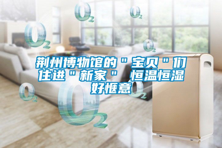 荊州博物館的"寶貝"們住進"新家" 恒溫恒濕好愜意