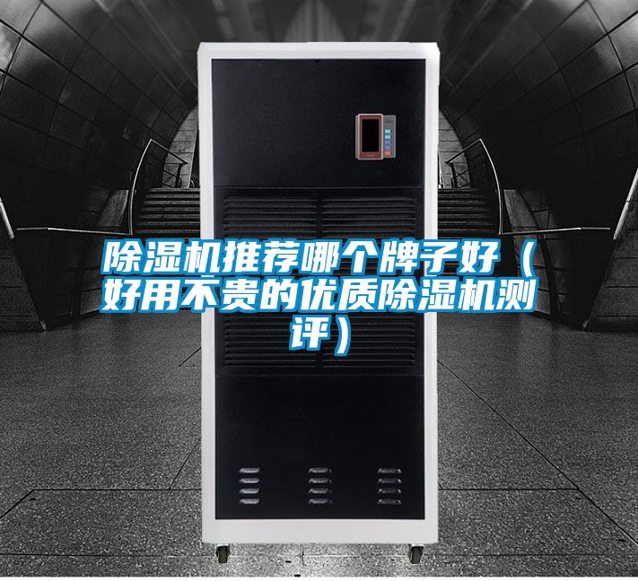 除濕機推薦哪個牌子好(好用不貴的優質除濕機測評)