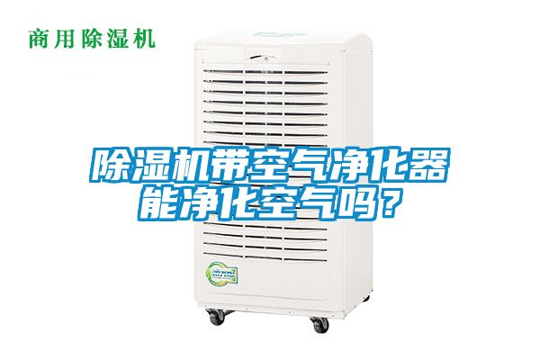 除濕機帶空氣凈化器能凈化空氣嗎?