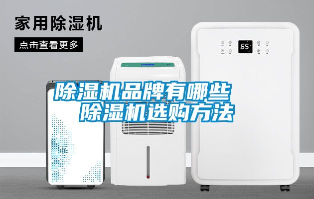除濕機品牌有哪些  除濕機選購方法