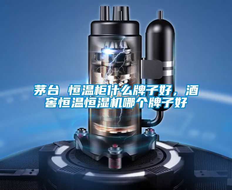 茅臺(tái) 恒溫柜什么牌子好,酒窖恒溫恒濕機(jī)哪個(gè)牌子好