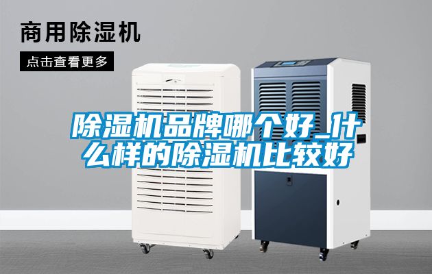 除濕機(jī)品牌哪個好_什么樣的除濕機(jī)比較好