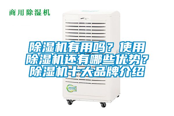 除濕機有用嗎?使用除濕機還有哪些優勢?除濕機十大品牌介紹