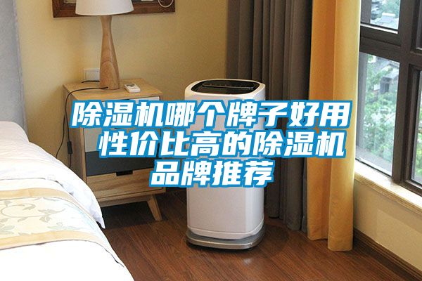 除濕機(jī)哪個(gè)牌子好用 性價(jià)比高的除濕機(jī)品牌推薦