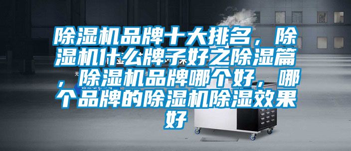 除濕機(jī)品牌十大排名,除濕機(jī)什么牌子好之除濕篇,除濕機(jī)品牌哪個(gè)好,哪個(gè)品牌的除濕機(jī)除濕效果好