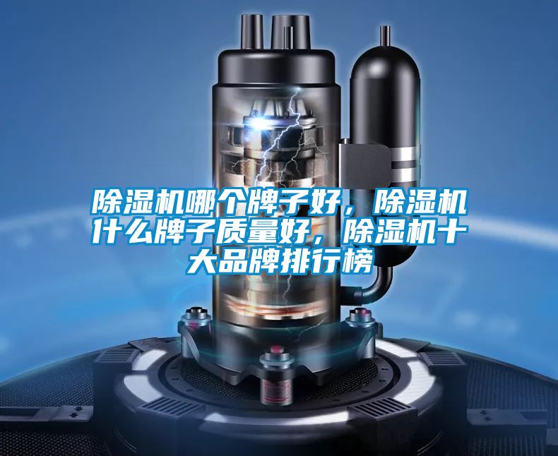 除濕機哪個牌子好,除濕機什么牌子質量好,除濕機十大品牌排行榜