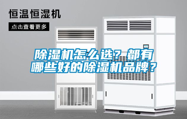 除濕機怎么選?都有哪些好的除濕機品牌?