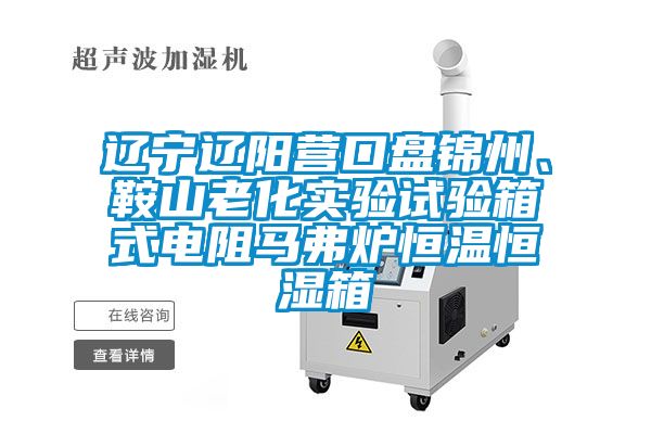 遼寧遼陽營口盤錦州、鞍山老化實驗試驗箱式電阻馬弗爐恒溫恒濕箱