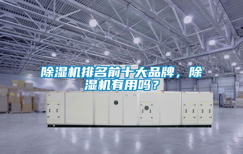 除濕機排名前十大品牌,除濕機有用嗎?