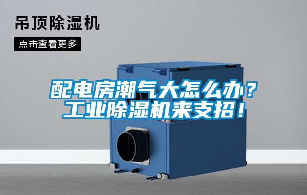 配電房潮氣大怎么辦?工業除濕機來支招!