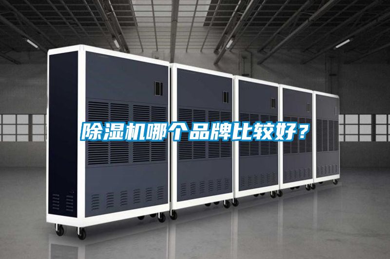 除濕機(jī)哪個(gè)品牌比較好?