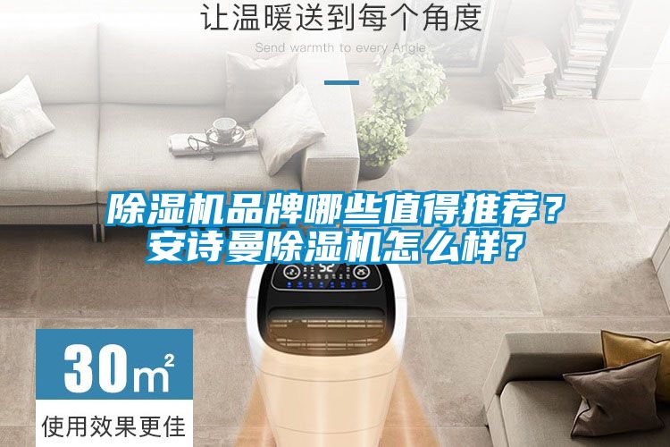 除濕機(jī)品牌哪些值得推薦?安詩(shī)曼除濕機(jī)怎么樣?