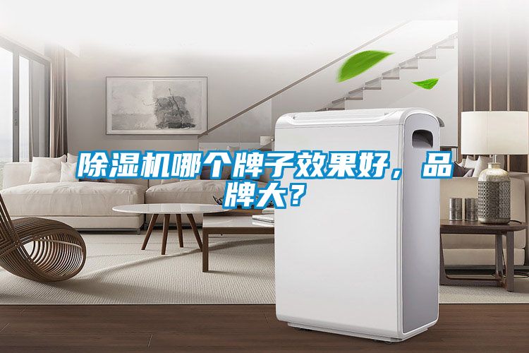除濕機哪個牌子效果好,品牌大?