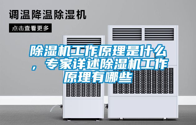 除濕機工作原理是什么,專家詳述除濕機工作原理有哪些